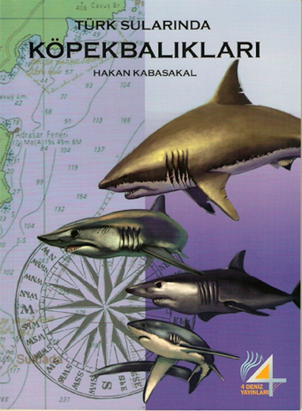 Denzici Kaitaplığı | Türk Sularında Köpekbalıkları