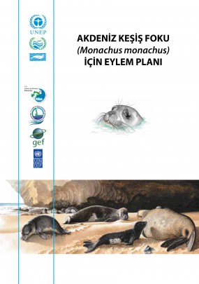 Akdeniz Foku İçin Eylem Planı
