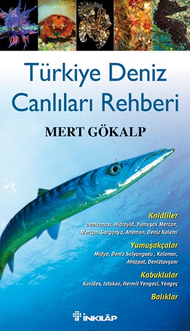 Türkiye Deniz Canlıları Rehberi