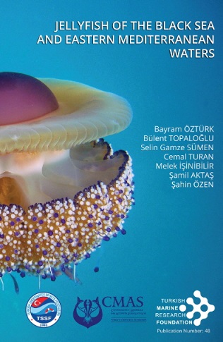 Jellyfish Of The Black Sea And Eastern Mediterranean Waters