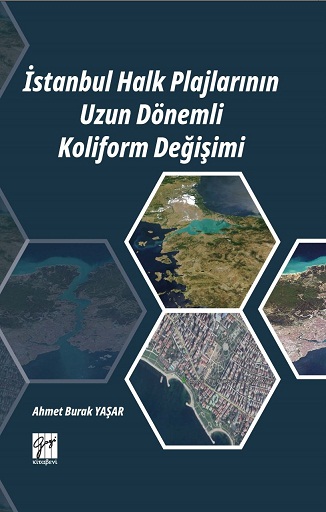 Denzici Kaitaplığı | İstanbul Halk Plajlarının Uzun Dönemli Koliform Değişimi