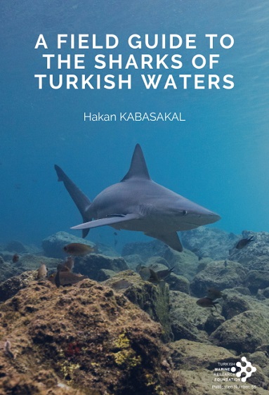 The Field Guide To The Sharks Of Turkish Waters