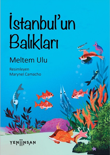 Denzici Kaitaplığı | İstanbul'un Balıkları