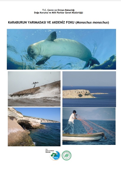 Denzici Kaitaplığı | Karaburun Yarımadası Ve Akdeniz Foku (Monachus Monachus)