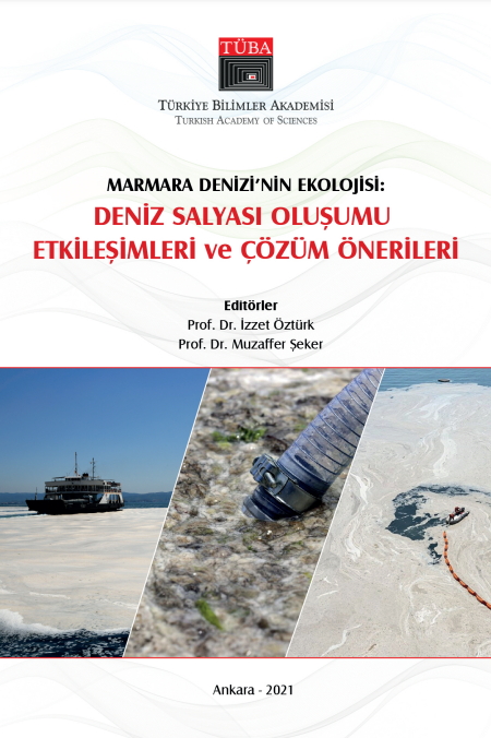 Denzici Kaitaplığı | Marmara Denizi'nin Ekolojisi - Deniz Salyası Oluşumu Etkileşimleri Ve Çözüm Önerileri