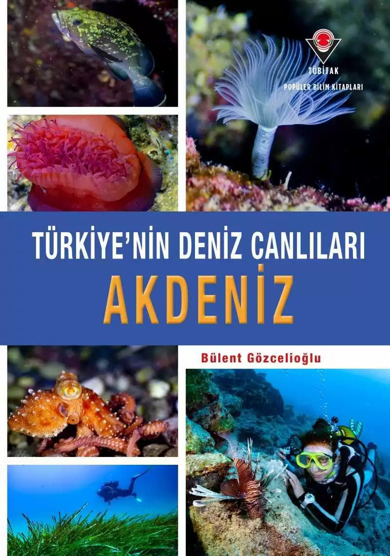 Türkiye'nin Deniz Canlıları - Akdeniz