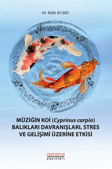 work-image